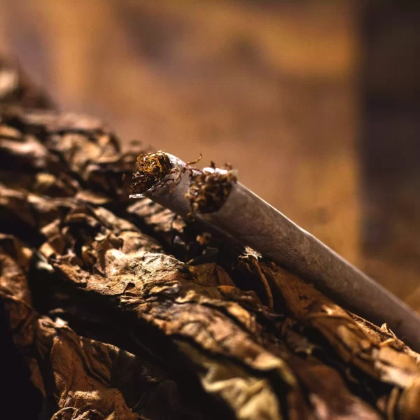 Tabaco Mentolado para Armar Malevo - Imagen 6