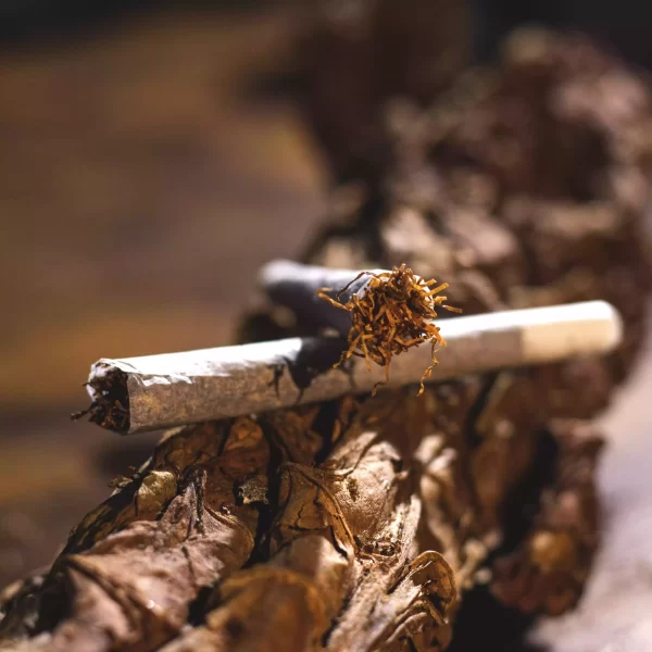 Tabaco Mentolado para Armar Malevo - Imagen 7