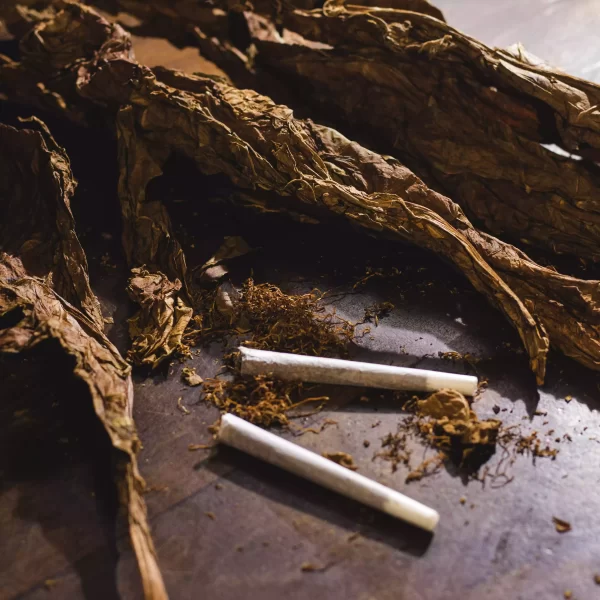 Tabaco Mentolado para Armar Malevo - Imagen 8