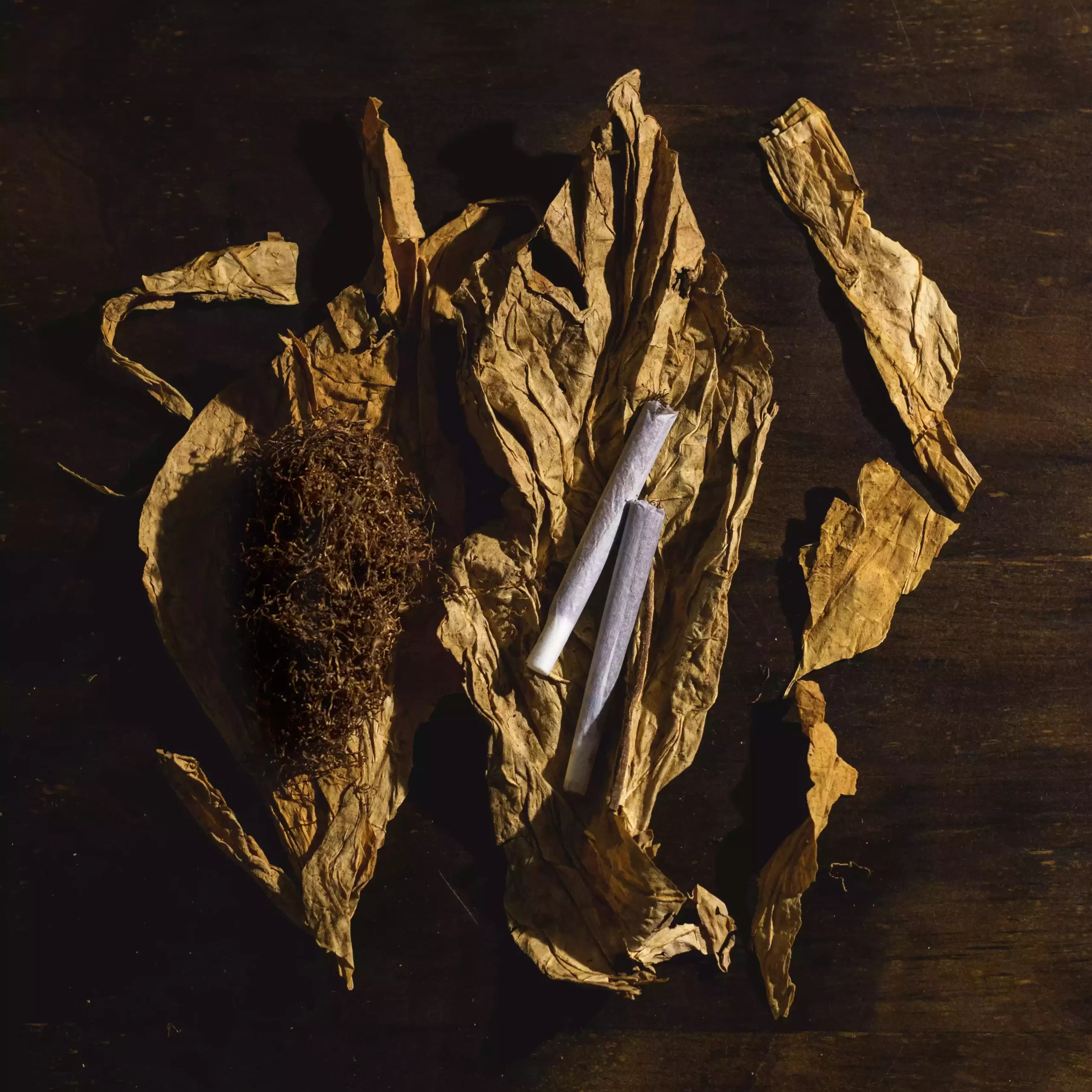 Tabaco Clásico para Armar Malevo - Imagen 5